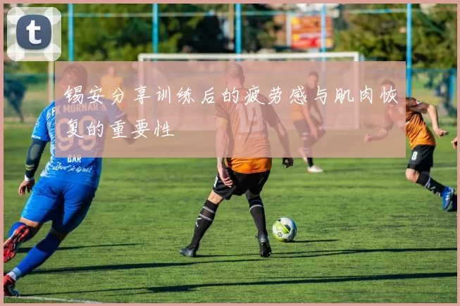 锡安分享训练后的疲劳感与肌肉恢复的重要性