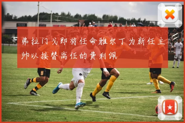 弗拉门戈即将任命雅尔丁为新任主帅以接替离任的费利佩
