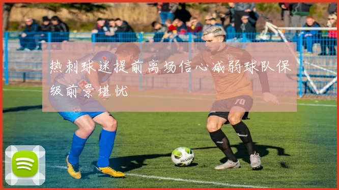 热刺球迷提前离场信心减弱球队保级前景堪忧