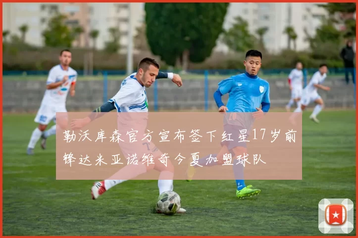 勒沃库森官方宣布签下红星17岁前锋达米亚诺维奇今夏加盟球队